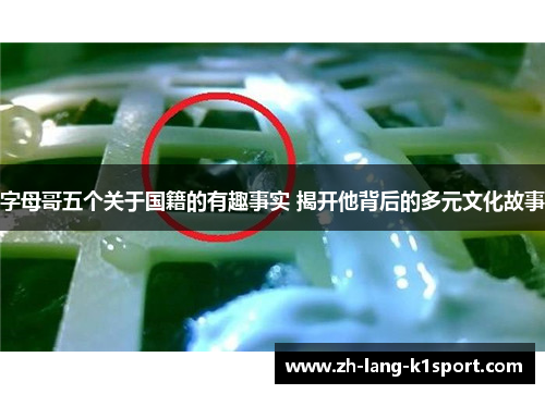 字母哥五个关于国籍的有趣事实 揭开他背后的多元文化故事 字母哥五个关于国籍的有趣事实 揭开他背后的多元文化故事