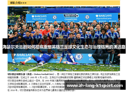 海瑟尔关悲剧如何彻底重塑英格兰足球文化生态与治理格局的演进路 海瑟尔关悲剧如何彻底重塑英格兰足球文化生态与治理格局的演进路